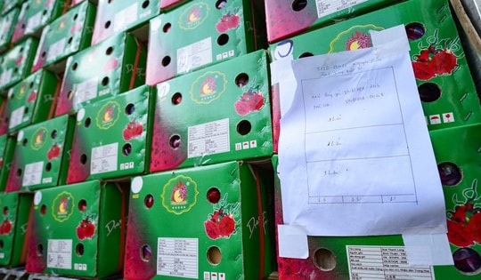 Bộ Nông nghiệp và Môi trường thông tin về Nghị định 46