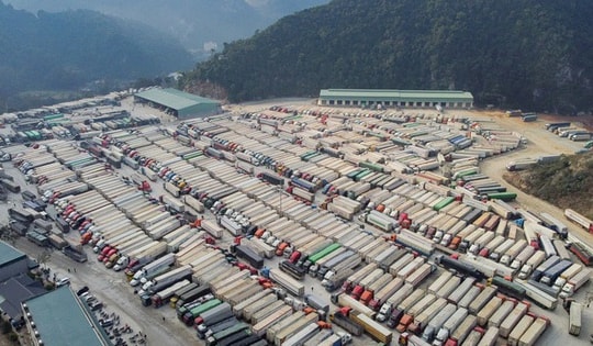 Tạm dừng áp dụng Nghị định 46, Cục Hải quan hoả tốc yêu cầu thông quan nhanh hàng hoá