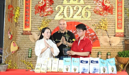 Một địa phương tại TPHCM “lên sóng” bán mai vàng hỗ trợ nông dân