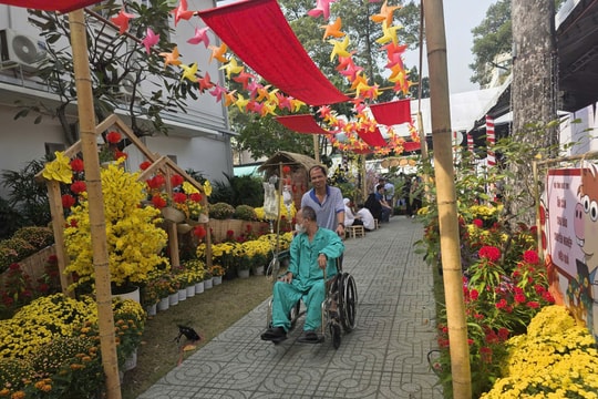 Đường hoa Xuân tại Bệnh viện Chợ Rẫy mang Tết sớm đến bệnh nhân
