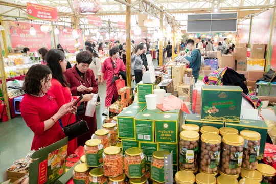 Du xuân sắm Tết với 'bản đồ đặc sản Việt Nam' tại Hội chợ Mùa Xuân 2026