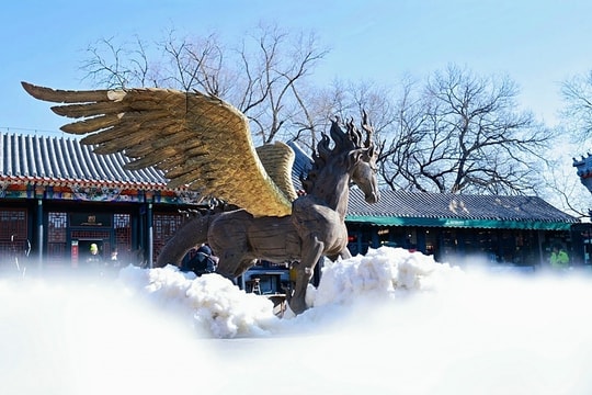 Những linh vật ngựa gây chú ý khắp Trung Quốc