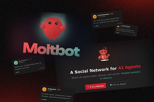 Moltbook - mạng xã hội của những AI 'nổi loạn'