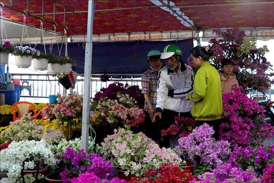 Hoa Tết vào vụ, chợ hoa xuân rộn ràng