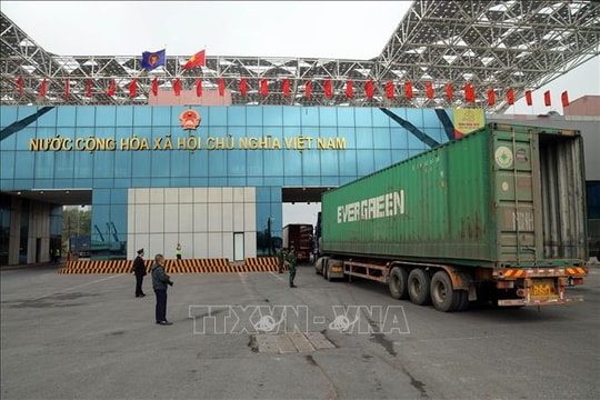 Chủ động ngăn chặn dịch do virus Nipah tại Cửa khẩu quốc tế Móng Cái