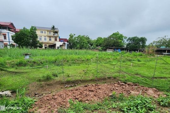 Tòa sơ thẩm 'sai sót nghiêm trọng' vụ chia thừa kế 5.000 m2 đất cho 5 chị em