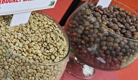 Giá cà phê hôm nay 7-2: Chốt tuần giảm mạnh