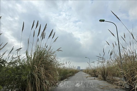 Khơi thông 'điểm nghẽn' đất đai - quyết tâm hồi sinh những dự án đô thị đắp chiếu