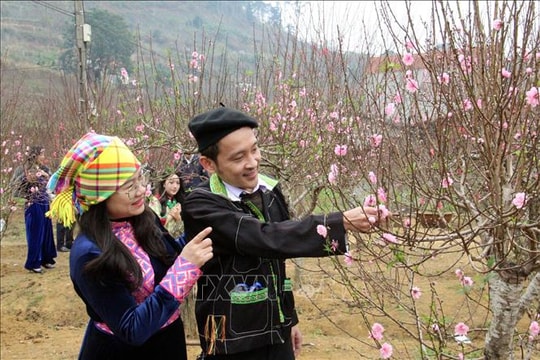 Thời tiết dịp nghỉ Tết Nguyên đán Bính Ngọ: ​Khu vực Bắc Bộ trưa chiều trời nắng