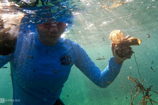 Du khách xả rác nhựa gấp đôi người địa phương