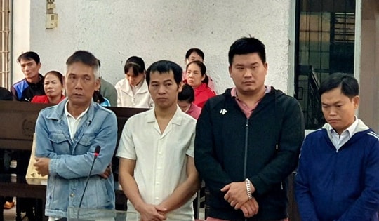 Xét xử vụ án sử dụng hóa chất độc hại để sản xuất giá đỗ, gây xôn xao dư luận