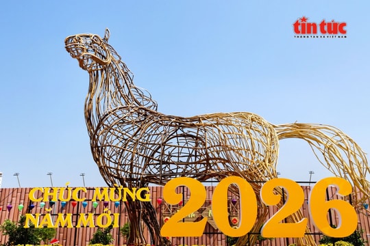 TP Hồ Chí Minh: Ngựa khổng lồ cao 8 mét xuất hiện trên khu ‘đất vàng’ đường Trần Phú