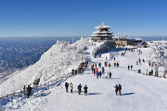 Khách Việt đi nước ngoài trượt tuyết tăng cao dịp Tết