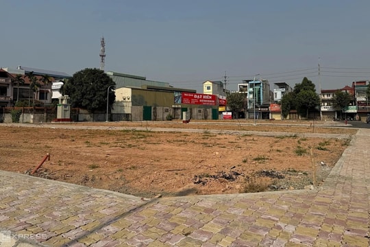 Đất đấu giá vùng ven Hà Nội trúng cao nhất 164 triệu một m2