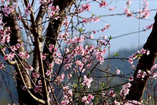 Ủy viên Bộ Chính trị Nguyễn Thanh Nghị chúc Tết nhân dân nơi địa đầu cực Nam Tổ quốc