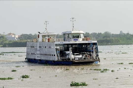 An Giang: Các bến phà hoạt động hết công suất dịp cao điểm Tết
