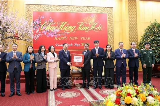 Lãnh đạo Đảng, Quốc hội thăm và chúc Tết tại Ninh Bình, Vĩnh Long