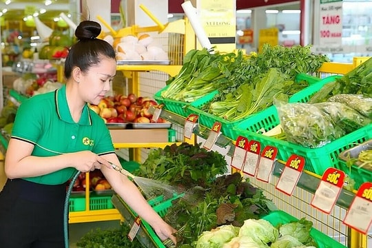 Bách Hóa Xanh lãi gần 2 tỷ đồng mỗi ngày