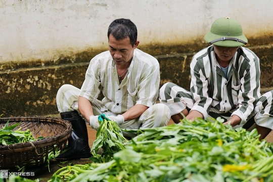 Quy trình 16 ngày cho phạm nhân có nhu cầu hiến tạng