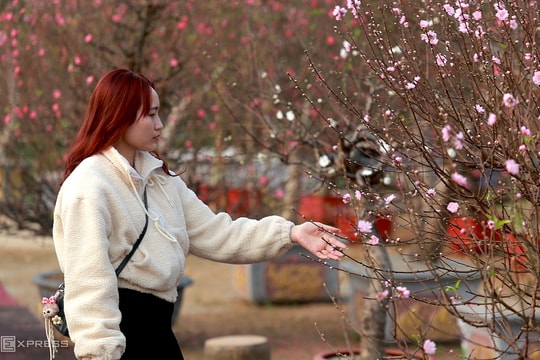 Miền Trung mưa rải rác, Bắc và Nam Bộ nắng ráo dịp Tết Nguyên đán