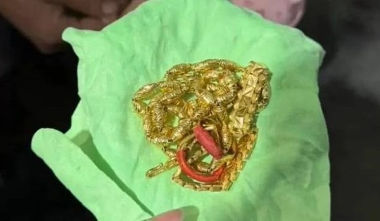 Dọn nhà đón Tết, cô gái vứt số vàng trị giá 373 triệu đồng vào thùng rác