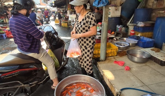 Chợ Tết ngày 23 tháng Chạp: Bất ngờ với giá cá chép