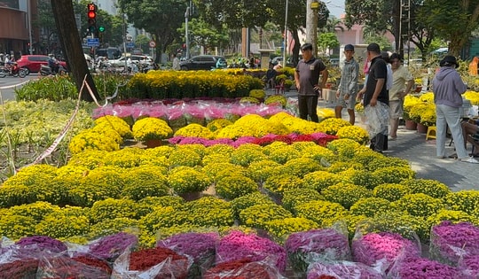 Không còn cảnh hét giá, người dân TPHCM tấp nập đi mua hoa Tết sớm