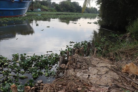 Tây Ninh công bố tình huống khẩn cấp sạt lở bờ kênh Dương Văn Dương