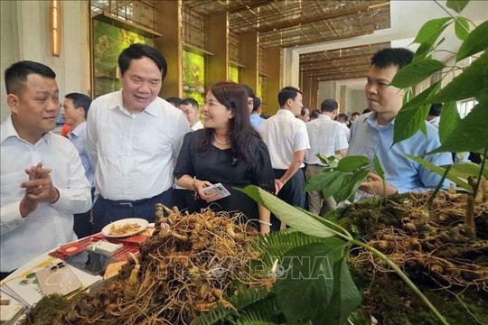 Tư duy kinh tế nông nghiệp bền vững - Bài 1: Bước chuyển nông nghiệp vùng