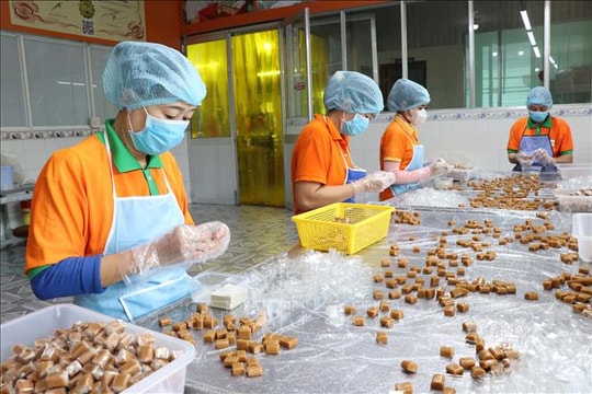 Đặc sản dừa sáp 'cháy hàng', sản lượng tăng mạnh dịp Tết