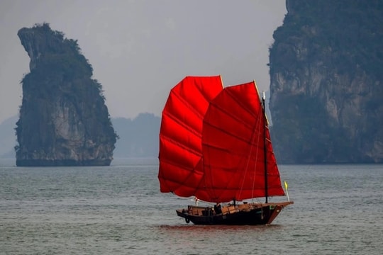 Cảnh quen thuộc rất lâu không thấy ở Hạ Long, bỗng xuất hiện trở lại