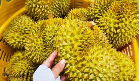 Quy định mới về xuất khẩu nông sản vào Trung Quốc