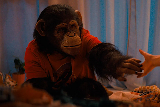 'Primate' - tinh tinh cuồng nộ