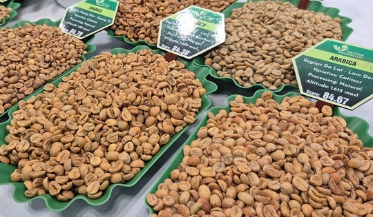 Giá cà phê hôm nay 11-2: Giảm mạnh trước dự báo Brazil được mùa lớn