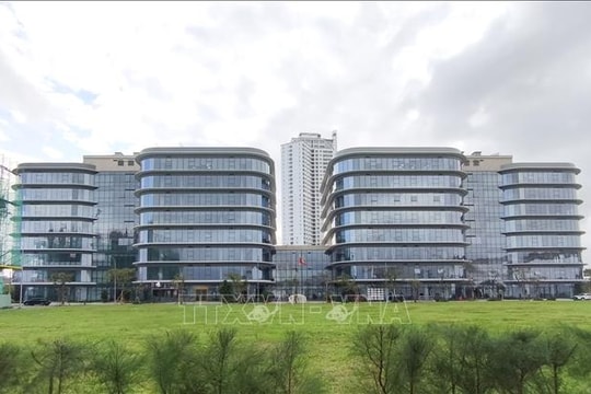 Điểm tin kinh tế Việt Nam nổi bật ngày 12/2/2026