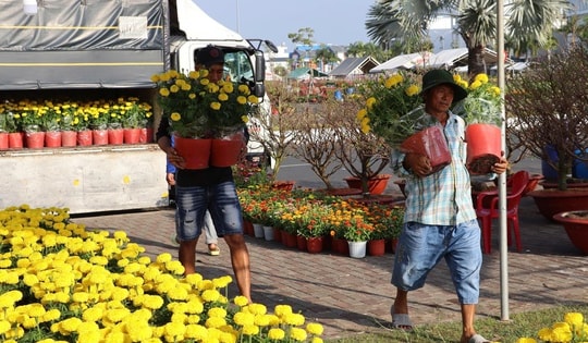 Hoa Tết giá mềm, hút khách