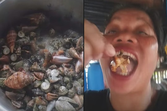 'Cua quỷ' chứa độc tố thần kinh khiến nữ vlogger tử vong