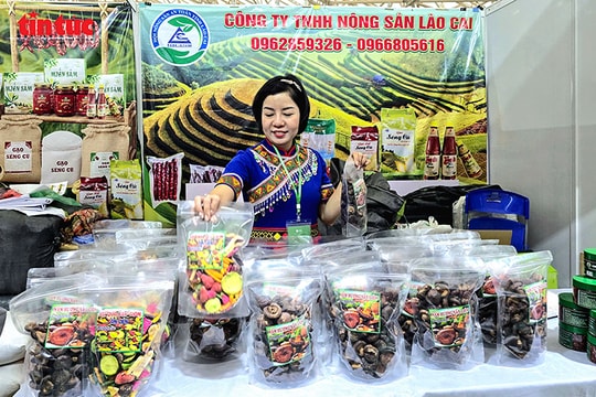 Hội chợ Mùa Xuân, cơ hội vàng cho doanh nghiệp tìm kiếm đối tác