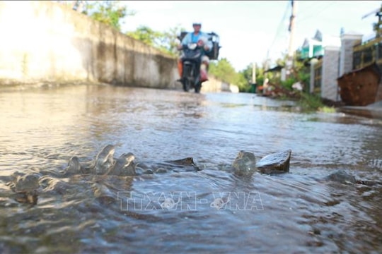 Xuất hiện triều cường trong dịp Tết ở khu vực ven biển Đông Nam Bộ