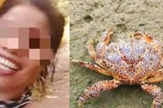 Ăn cua quỷ chứa độc tố cực mạnh để quay video, người phụ nữ tử vong