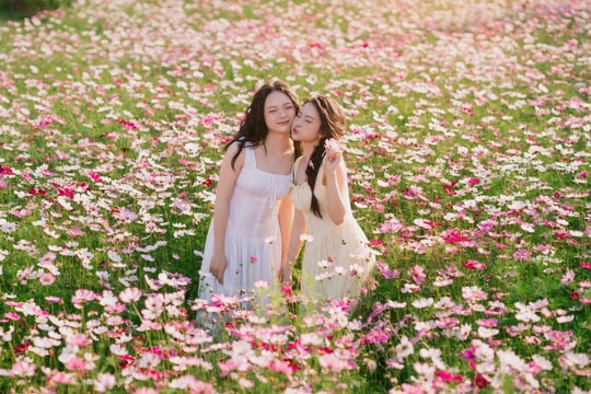 Chèo kayak, check-in vườn hoa dịp cận Tết tại Ecopark