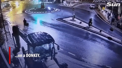 Tên trộm vàng cưỡi lừa trốn khỏi hiện trường