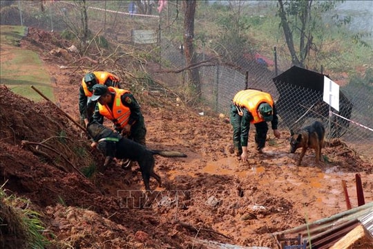 Chủ động ứng phó các tình huống thiên tai trong dịp Tết Nguyên đán
