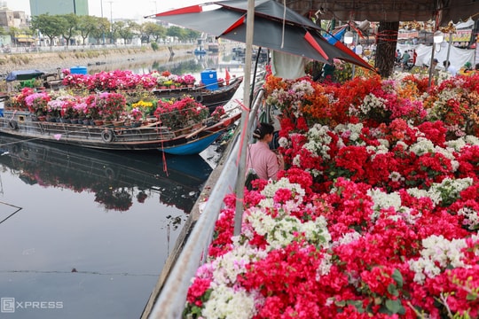Chợ hoa trên bến dưới thuyền tấp nập ngày cận Tết