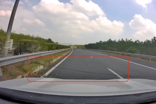 Ôtô chạy 100 km/h vướng dây cáp căng ngang trên cao tốc