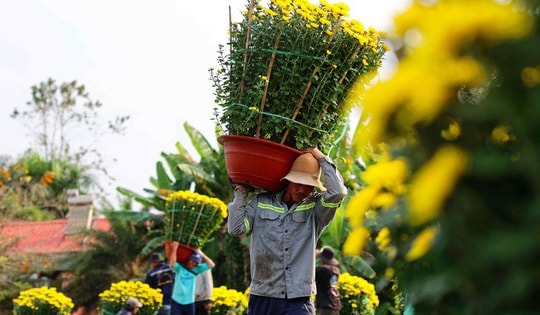 Làng hoa Tết vào xuân