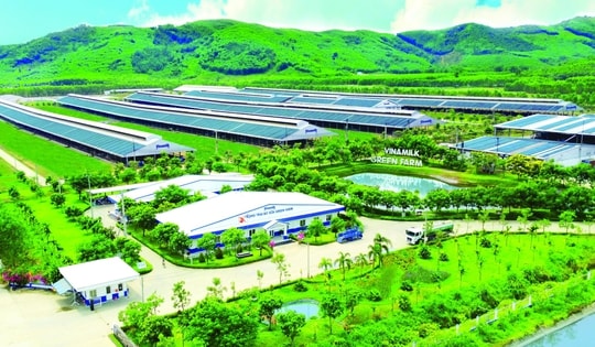 Bản lĩnh Vinamilk trước vận hội mới