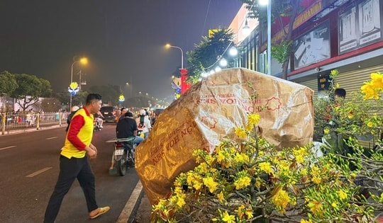 Chuyện thuê mai ngày Tết và những vui buồn ít ai thấu hiểu