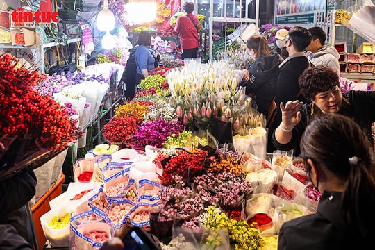 Chợ hoa Quảng An rực sáng suốt đêm cận Tết Bính Ngọ 2026