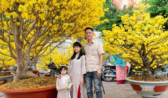 Chiêm ngưỡng cặp mai giảo "khủng" gần 40 năm tuổi, giá 700 triệu đồng ở TPHCM